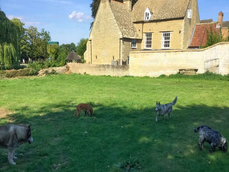 River Nene